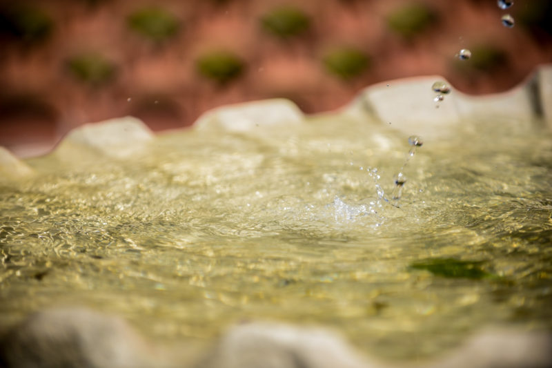 mężczyzna całuje kobietę z rozwianymi włosami